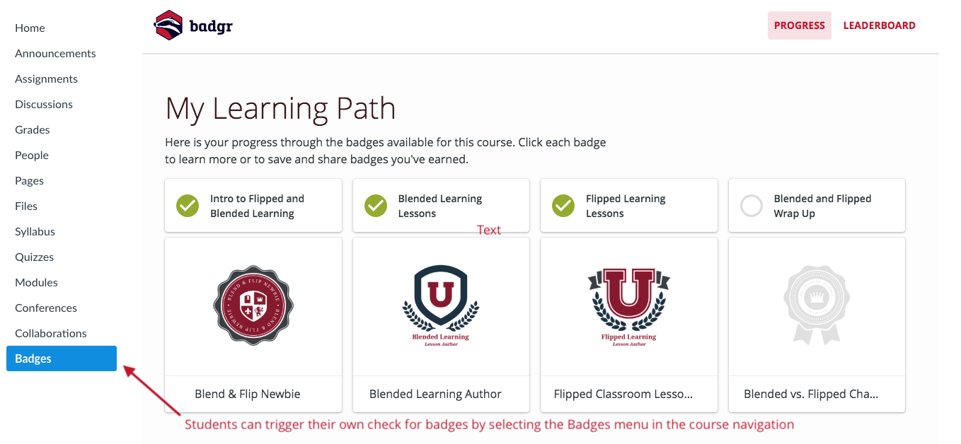 Badgr Canvas student progress tab