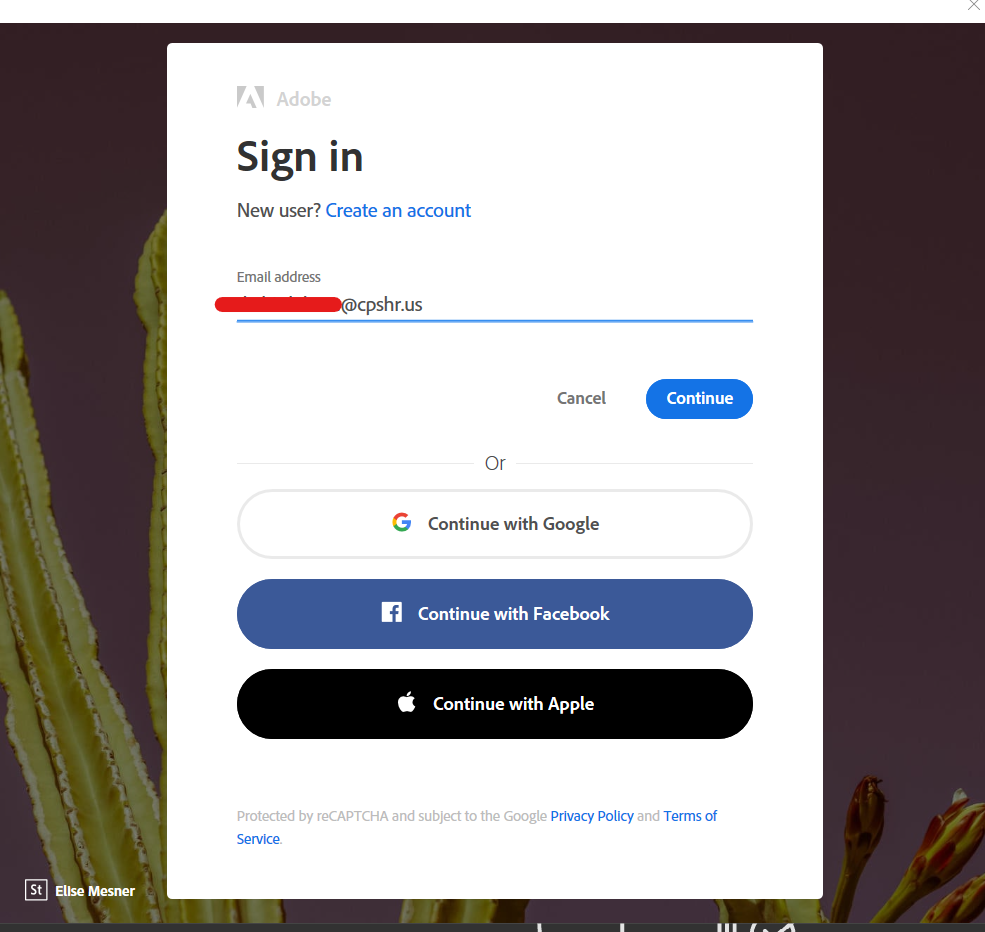 How to sign into Adobe with Company(CPS) login to enable license assignment?