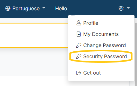 How do I set up my security password?