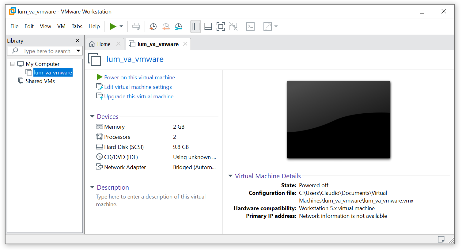 VA settings on VMware Workstation