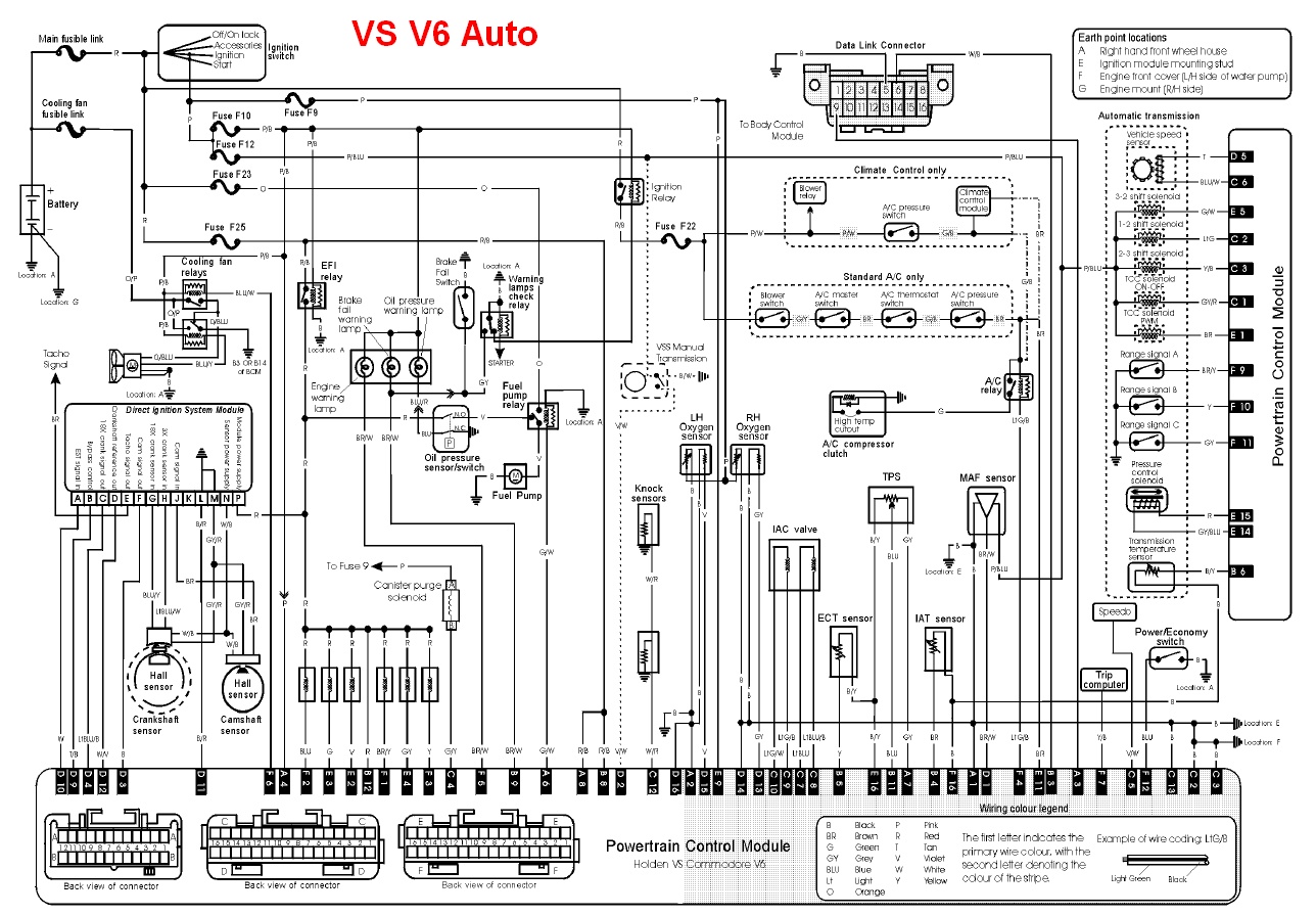 Vs V6 Commodore Ecu Wiring Diagram - Wiring Diagram