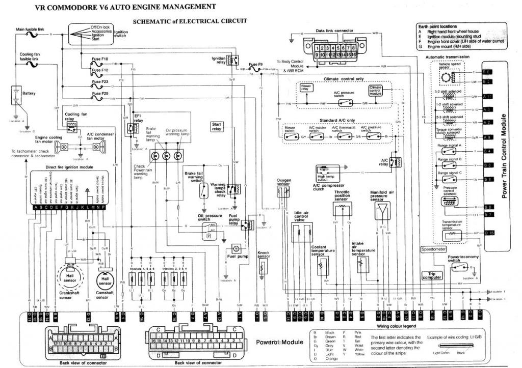 Holden/Buick V6 Ecotec Chevy Engine Wiring Harness Diagram Haltech Knowledge Base