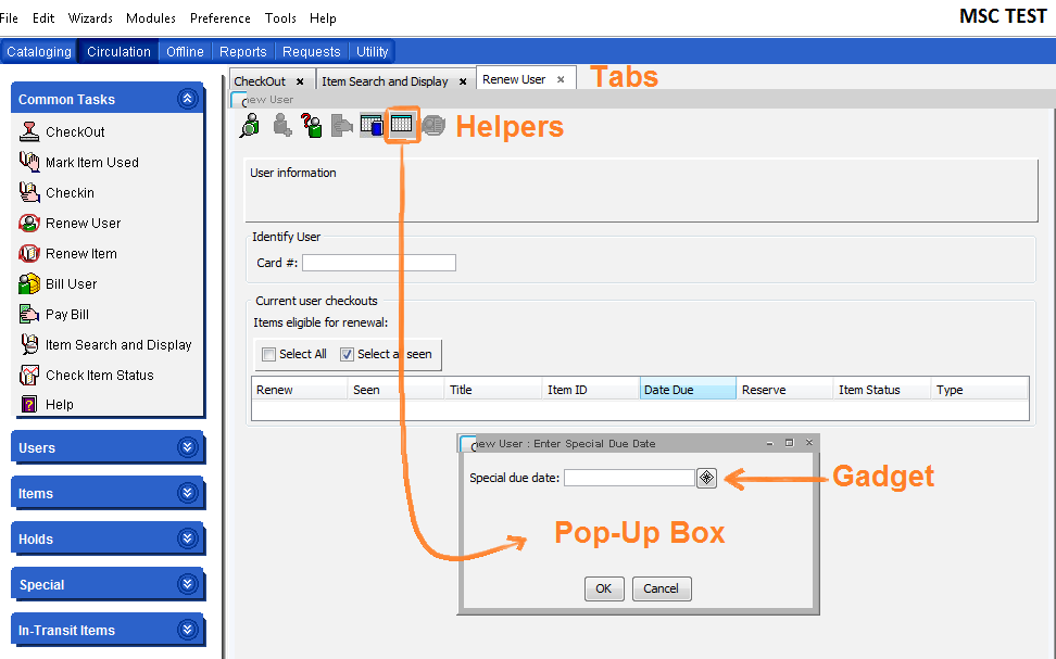 WorkFlows test session highlighting wizard tabs, helpers, pop-up boxes and gadget buttons.