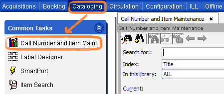 Call Number and Item Maintenance wizard search screen