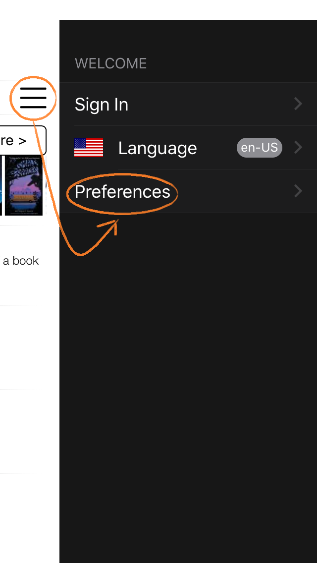 App menu options with Preferences highlighted