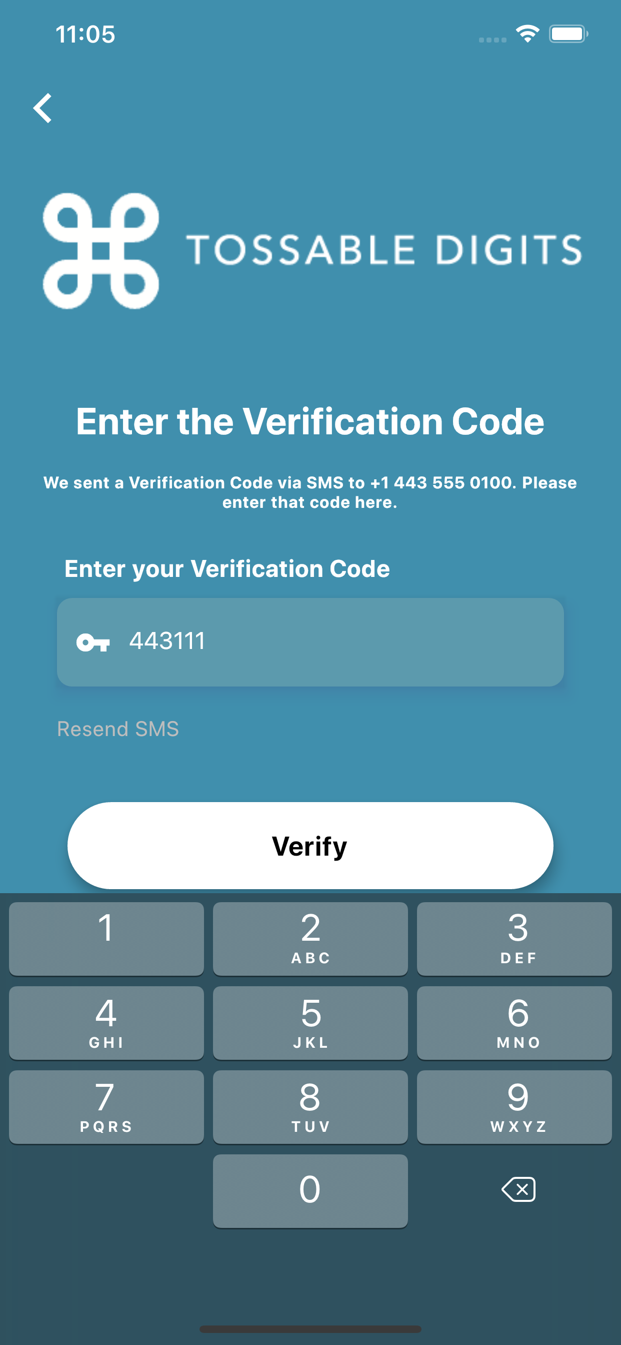 Verification Code page