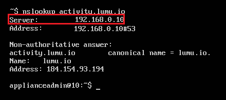 Check DNS from a command prompt