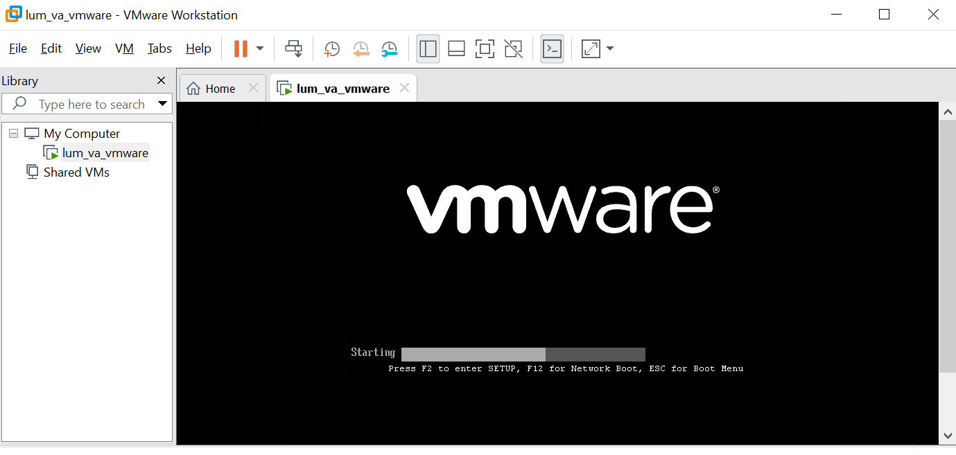 VA start process on VMware Workstation