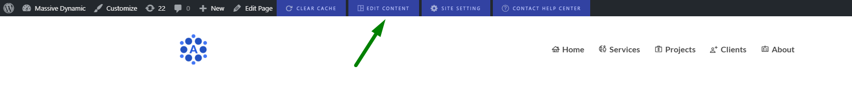 Edit Content button at the top of the Massive Dynamic page