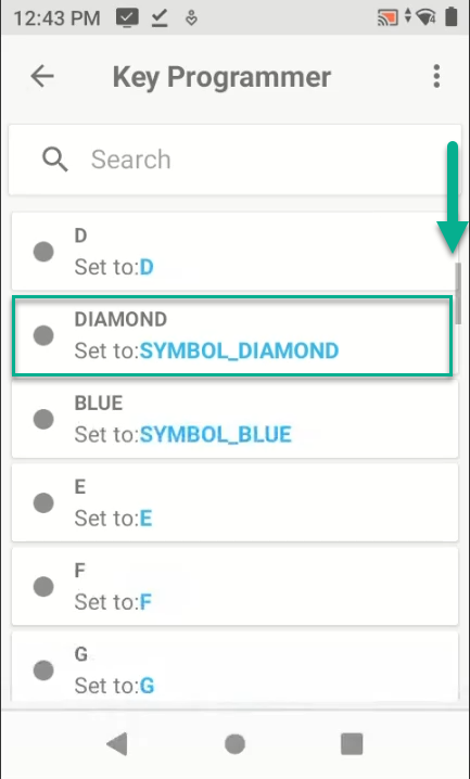 Diamond key option in Key Programmer