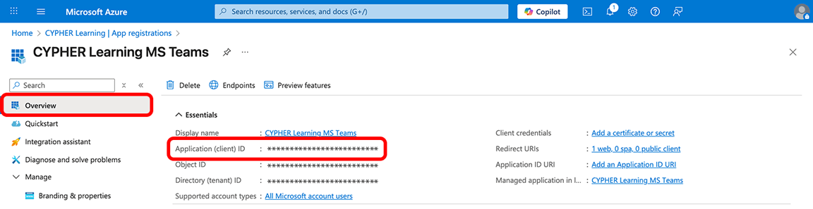 Azure portal, Overview highlighted on the left menu with the Application (client ID) code highlighted