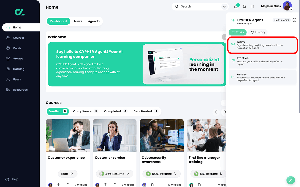 Dashboard with CYPHER Agent menu active, with Learn highlighted