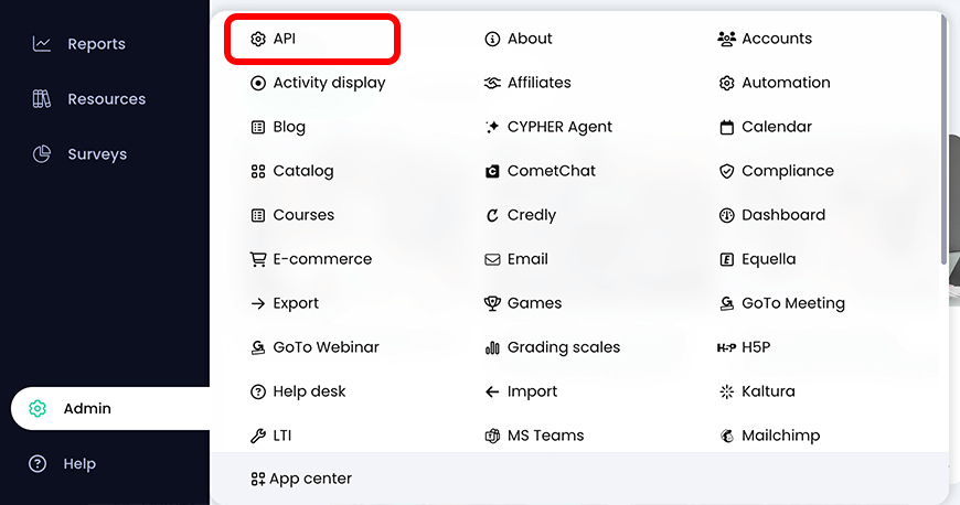 Admin menu active with API highlighted