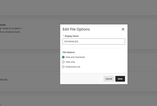 A screenshot of a computer

AI-generated content may be incorrect.