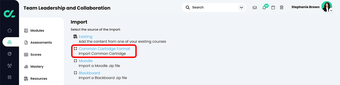 Course, Admin, Import with Common Cartridge Format highlighted