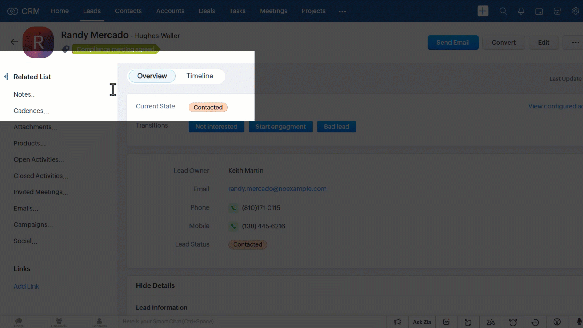 Here, Zoe is using the reading focus option to read the notes related to a lead's record. A rectangular space around her cursor is visible. The rest of the screen is masked. As Zoe moves the cursor, the rectangular box moves with it.