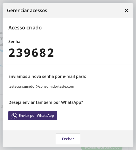 ecommerce_b2b_senha_gerada.png