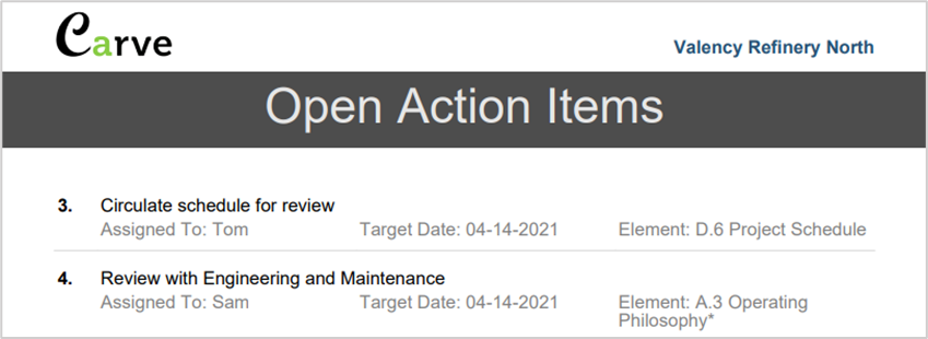 Summary Report Displays Open Action Items