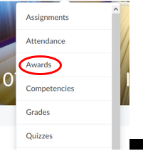 a screenshot of the awards option under Assessments in D2L