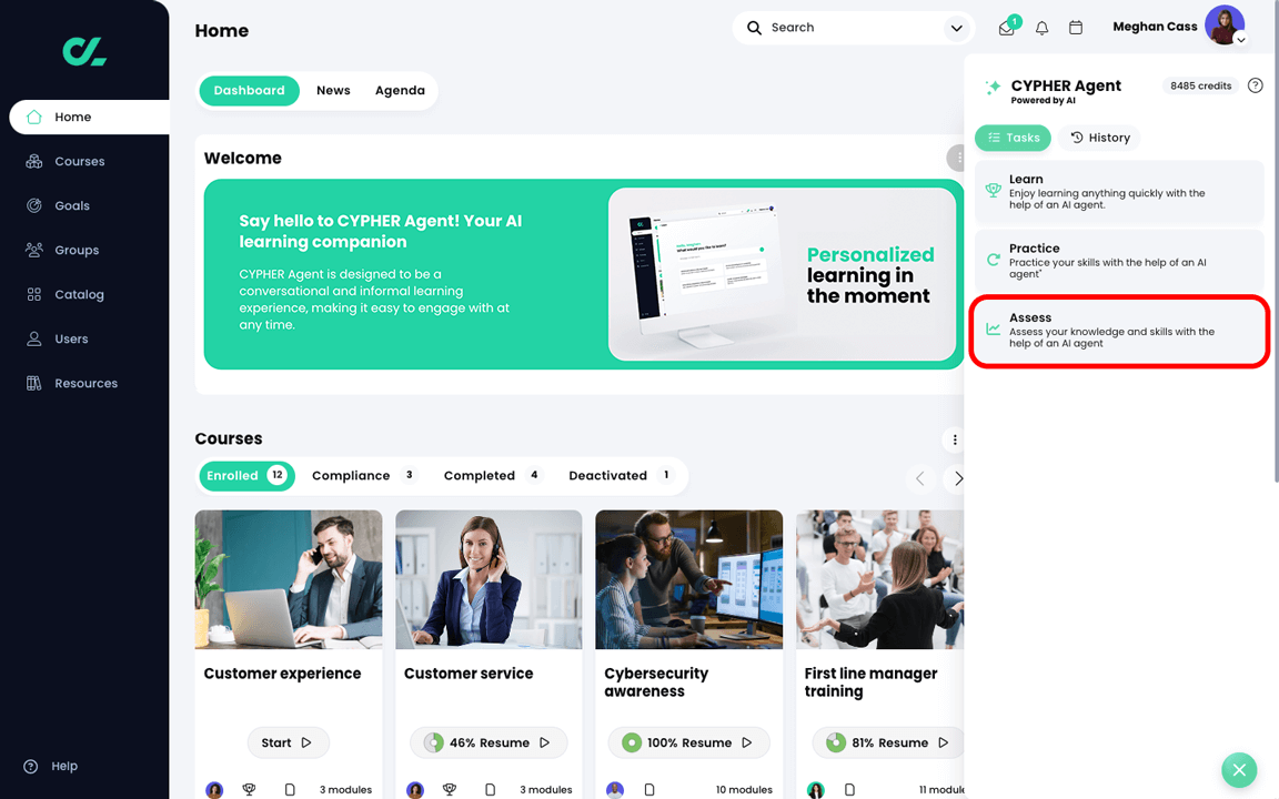 Dashboard with CYPHER Agent menu active, with Assess highlighted