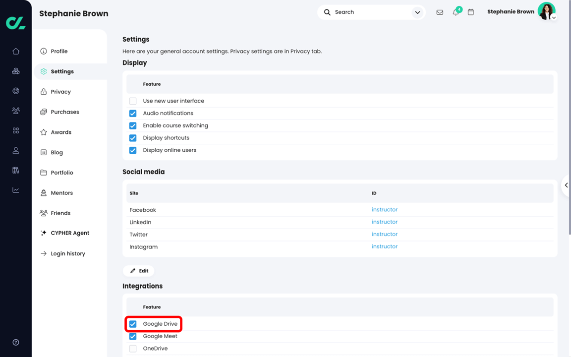 User profile, Settings page with the Google Drive option checked