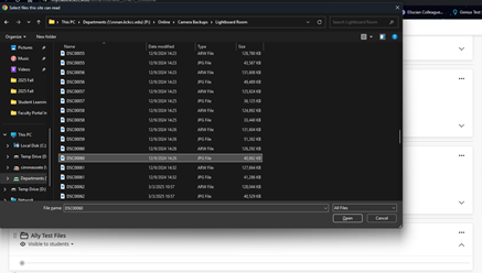 A screenshot of a computer program

AI-generated content may be incorrect.