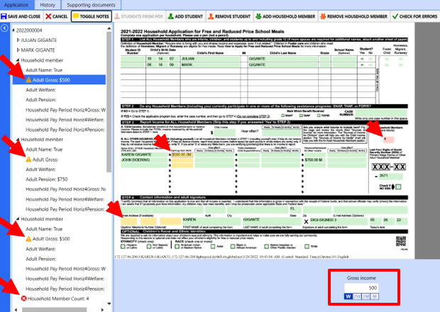 RocketSCAN application viewer interface with red arrows pointing to fields that have broken rules. There is a red box to highlight the editable field in the data entry pane.