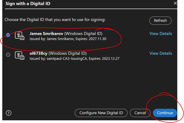 A screenshot of the Digital ID selection pop up