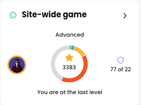 User profile, Site-wide game widget from the right panel