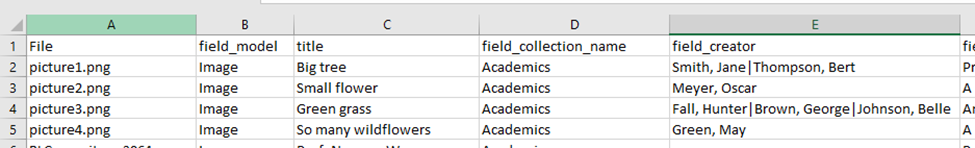 spreadsheet example