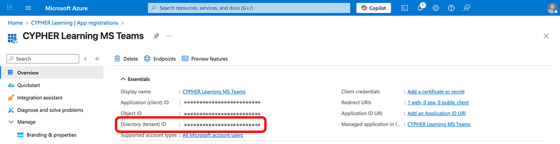 Azure portal, Overview page with the Directory (tenant) ID code highlighted