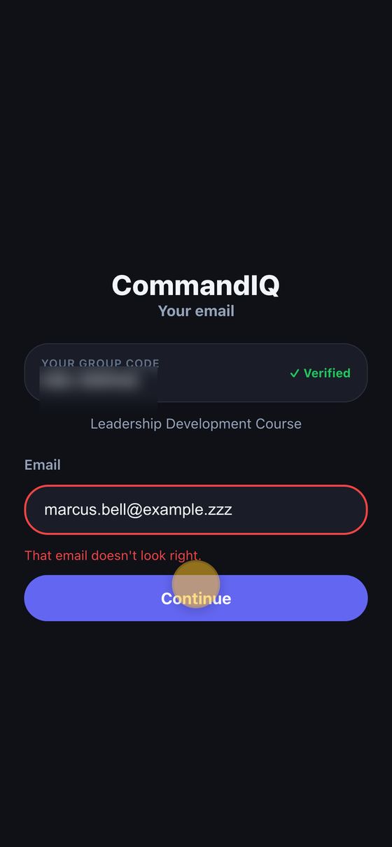 Email field with a validation message that the email does not look right