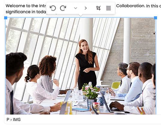 Course, Module, Edit section with an image highlighted and the edit image toolbar active