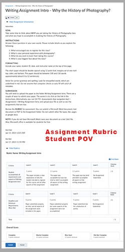 Screenshot of the Student POV