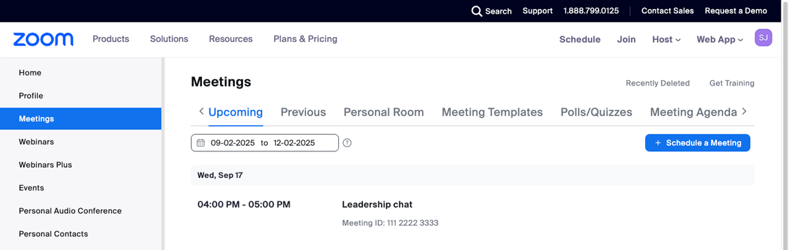Zoom, Meetings tab with the newly created Zoom meeting displayed