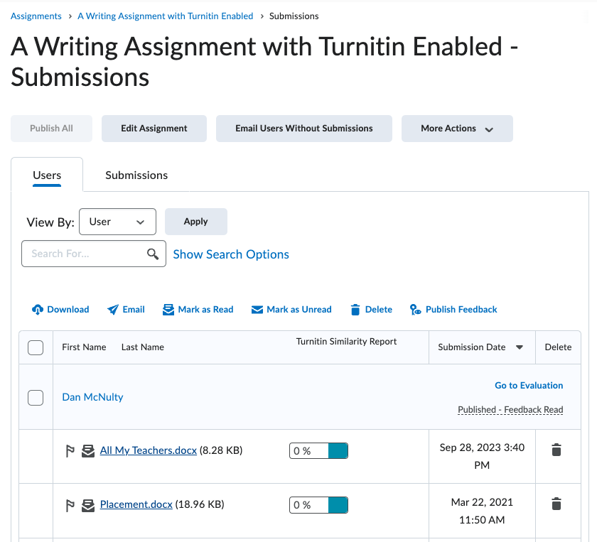 assignment submissions page with turnitin similarity report