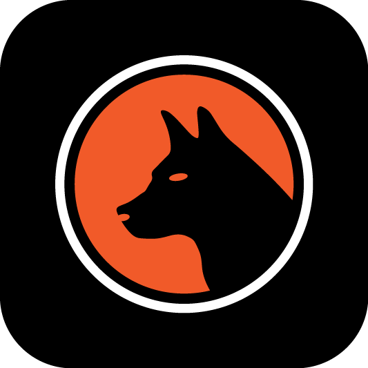 How K9 Webops Protects Your Data During the Assessment Process