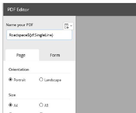 Forms Pdf Export Name