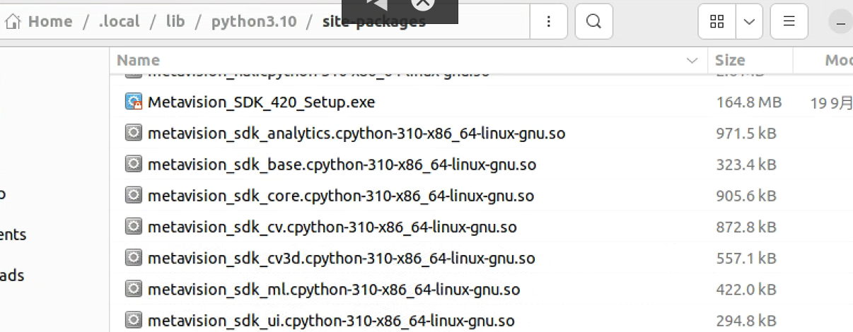 No module named 'metavision_sdk_base_paths_internal'