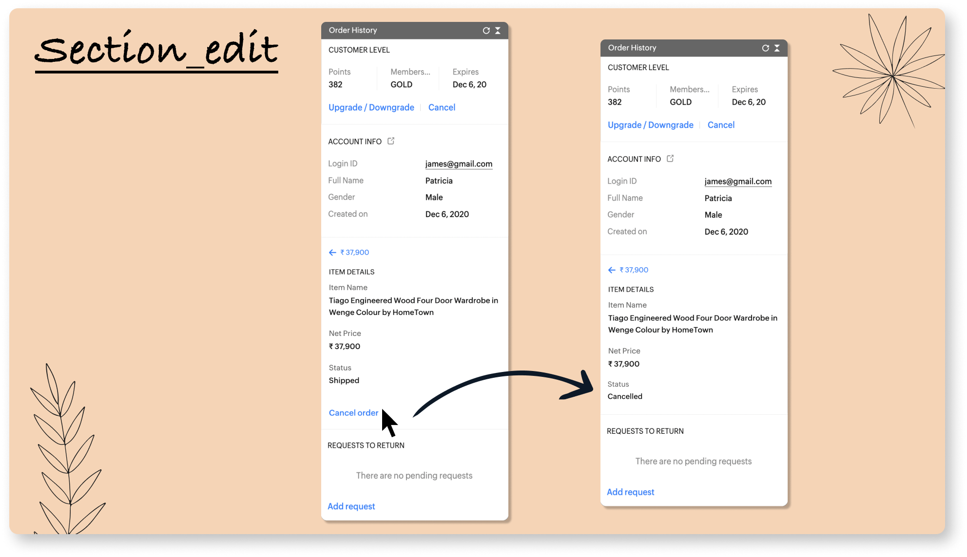 Tips to build a powerful custom Widget using SalesIQ Scripts