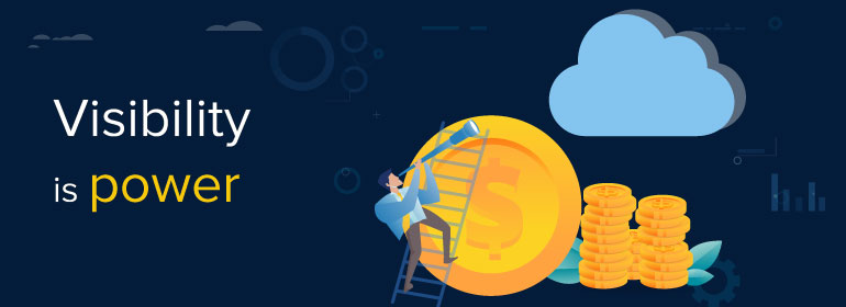 cloud visibility to manage AWS bills